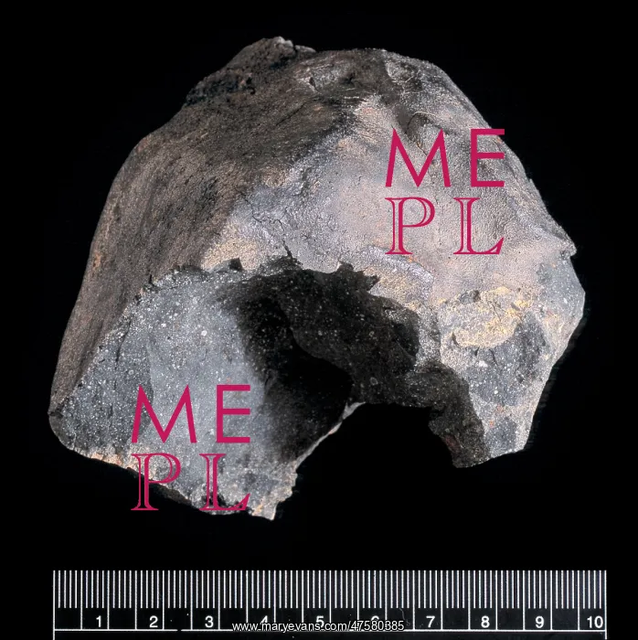 : The Murchison CM2 carbonaceous chondrite : The Murchison CM2 carbonaceous chondrite