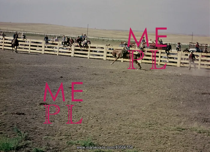 : Murdo rodeo - South Dakota : Murdo rodeo - South Dakota