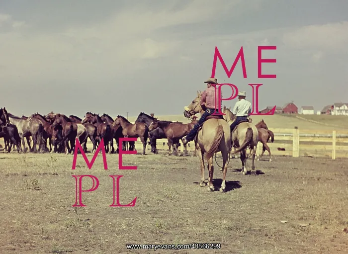 : Murdo rodeo - South Dakota : Murdo rodeo - South Dakota