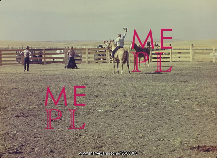: Murdo rodeo - South Dakota : Murdo rodeo - South Dakota