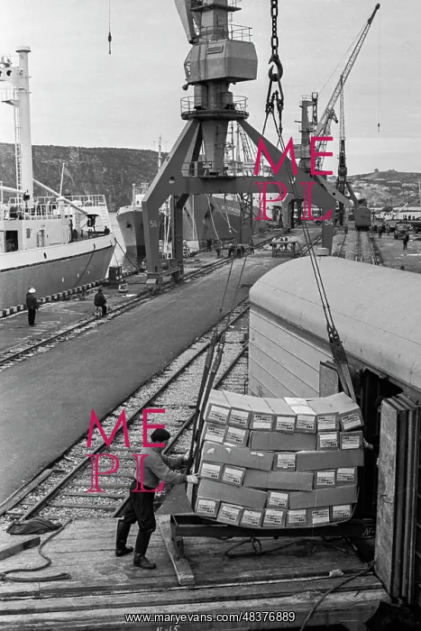 : Murmansk fishing port : Murmansk fishing port