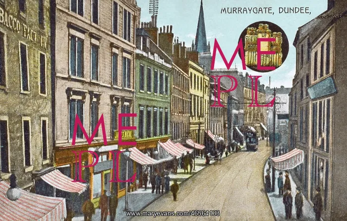 : Murraygate, Dundee - Celebration of the Jute Industry : Murraygate, Dundee - Celebration of the Jute Industry
