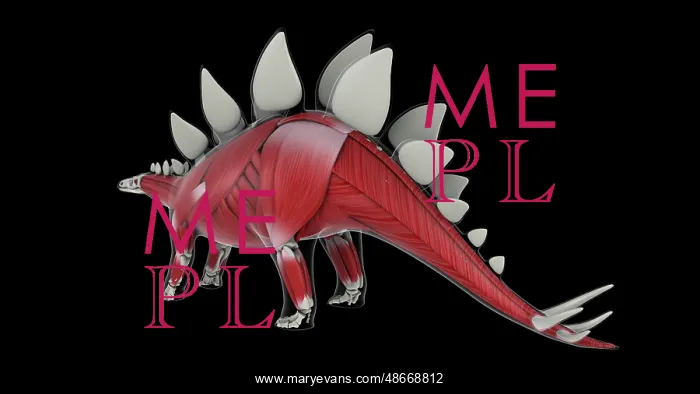 : Muscular system of a Stegosaurus dinosaur : Muscular system of a Stegosaurus dinosaur