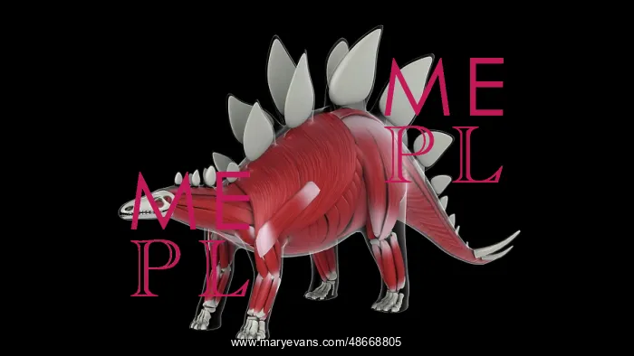 : Muscular system of a Stegosaurus dinosaur, side view : Muscular system of a Stegosaurus dinosaur, side view