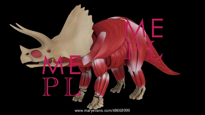 : Muscular system of a Triceratops dinosaur, side view : Muscular system of a Triceratops dinosaur, side view