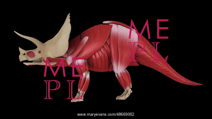 : Muscular system of a Triceratops dinosaur, side view : Muscular system of a Triceratops dinosaur, side view