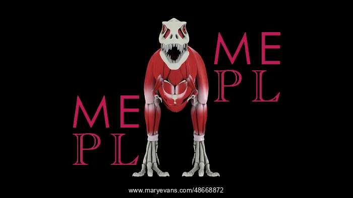 : Muscular system of Tyrannosaurus rex, front view : Muscular system of Tyrannosaurus rex, front view