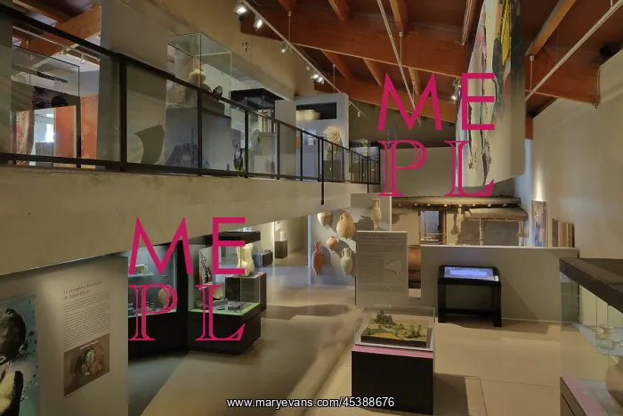 : Musee Archeologique Henri Prades, Lattara, Montpellier : Musee Archeologique Henri Prades, Lattara, Montpellier