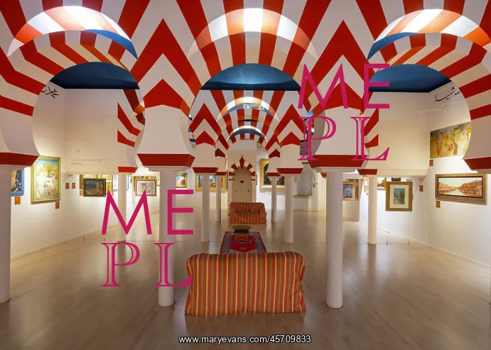 : Musee d'Art et d'Histoire, Palais des Archeveques : Musee d'Art et d'Histoire, Palais des Archeveques