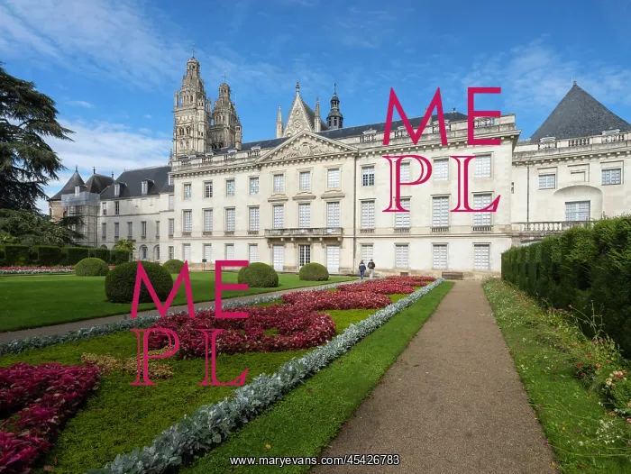 : Musee des Beaux Arts de Tours, Tours, Indre-et-Loire, France : Musee des Beaux Arts de Tours, Tours, Indre-et-Loire, France