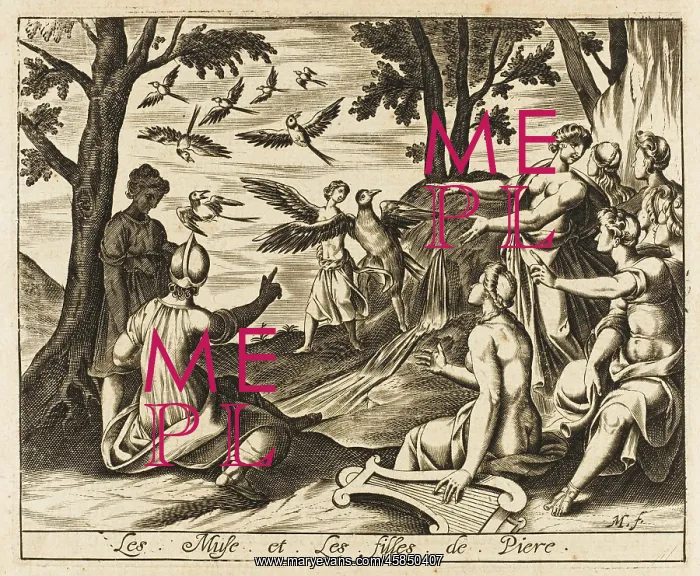 : Muses and Magpies : Muses and Magpies