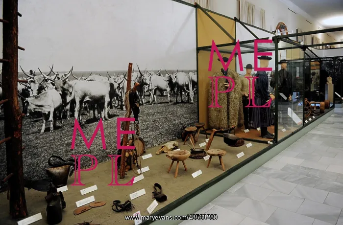  : Museum of Ethnography. Interior. Budapest