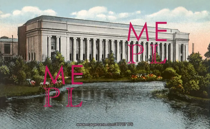 : Museum of Fine Arts. Boston