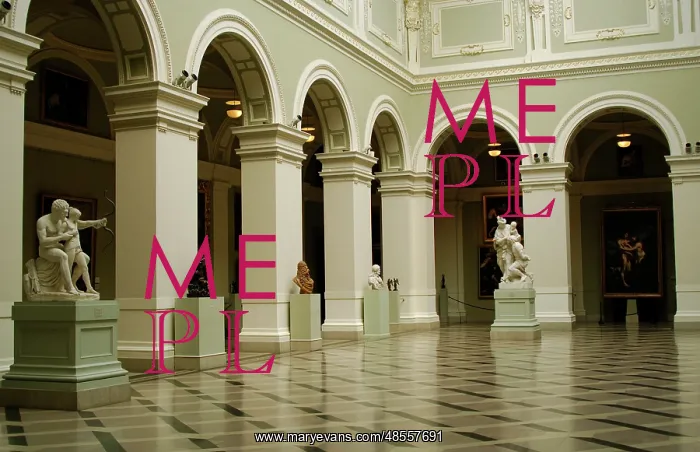  : Museum of Fine Arts, Budapest, Hungary