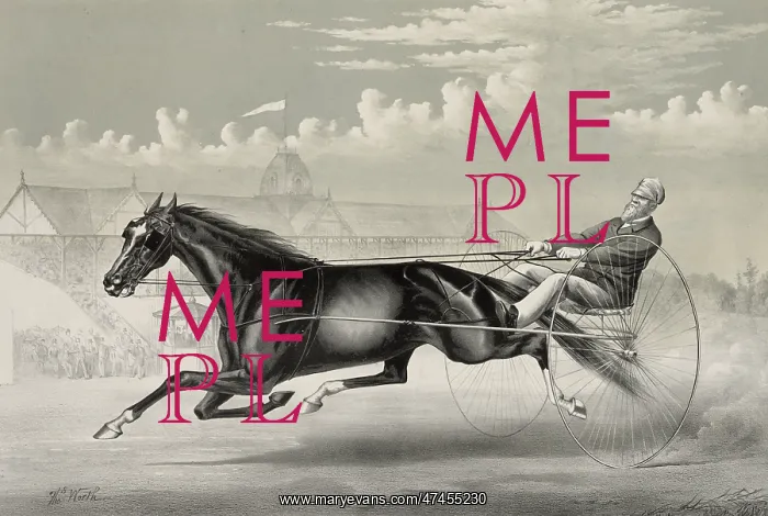 : Music: Chestnut Mare, by Middletown, dam by Roe's Fiddler : Music: Chestnut Mare, by Middletown, dam by Roe's Fiddler