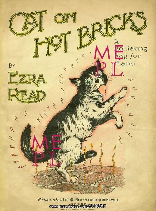 : Music Cover, Cat on Hot Bricks : Music Cover, Cat on Hot Bricks
