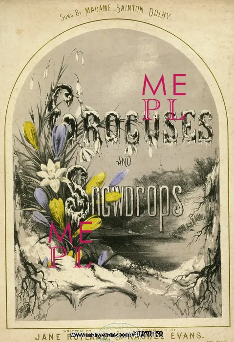 : Music cover, Crocuses and Snowdrops : Music cover, Crocuses and Snowdrops