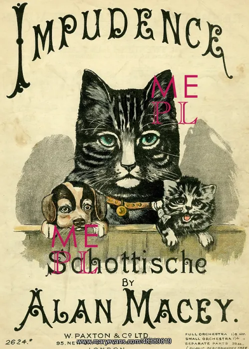  : Music cover, Impudence