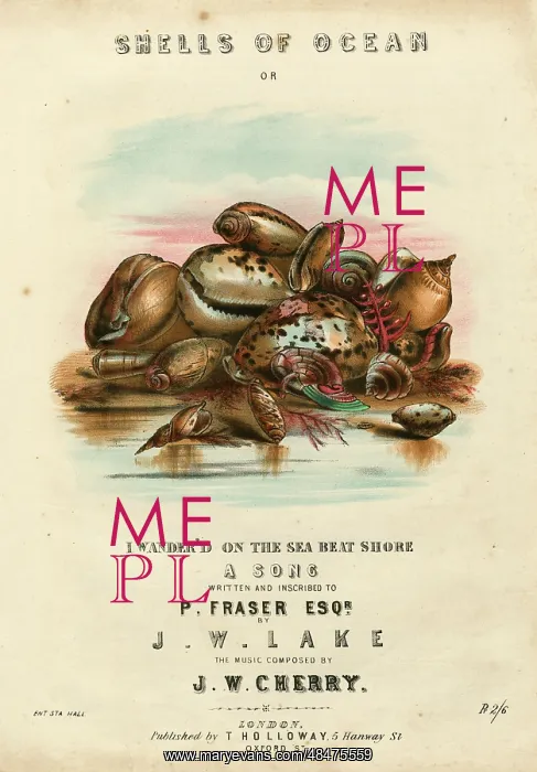 : Music cover, Shells of Ocean : Music cover, Shells of Ocean