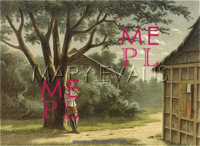 : MUSIC / REGIONAL / JAVA : MUSIC / REGIONAL / JAVA