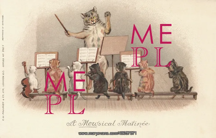 : Musical Cats : Musical Cats
