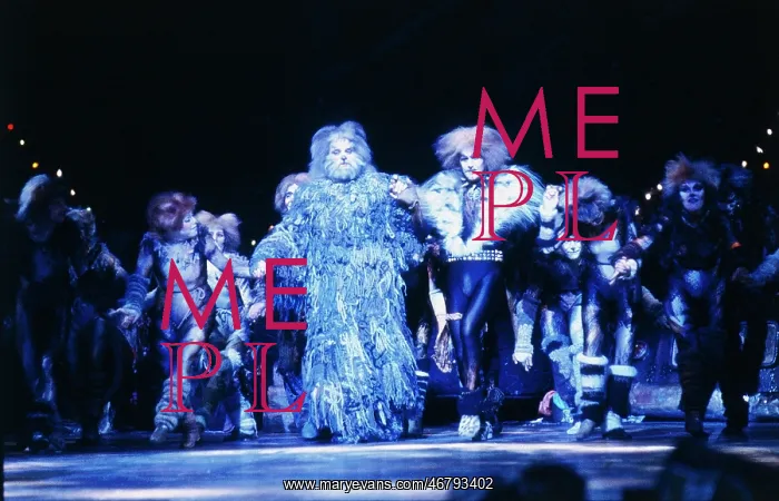 : Cats. Musical Cats by Andrew Lloyd Webber : Cats. Musical Cats by Andrew Lloyd Webber