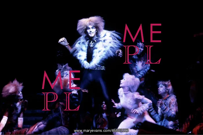  : Cats. Musical Cats by Andrew Lloyd Webber