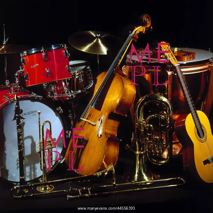  : Musical instruments