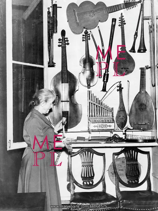 : MUSICAL INSTRUMENTS : MUSICAL INSTRUMENTS