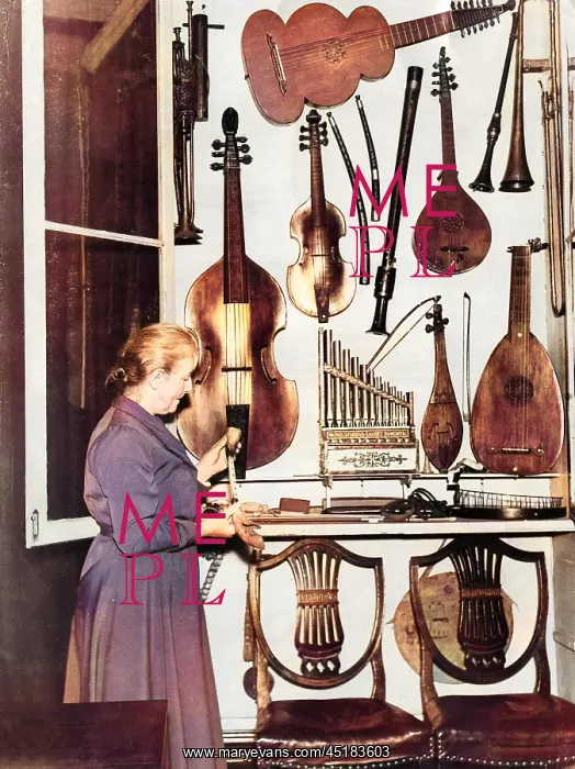 : MUSICAL INSTRUMENTS : MUSICAL INSTRUMENTS