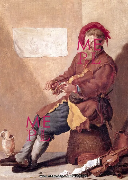 : The Musician : The Musician
