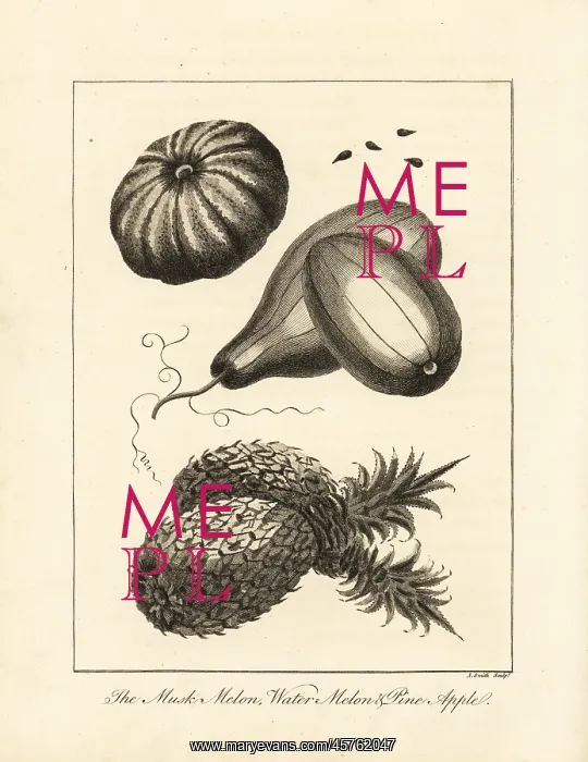 : Musk melon, watermelon and pineapple : Musk melon, watermelon and pineapple