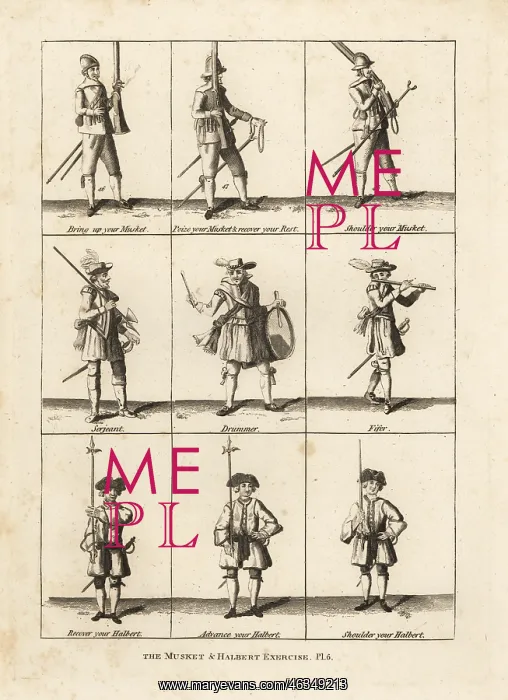 : Musket and halberd exercises : Musket and halberd exercises
