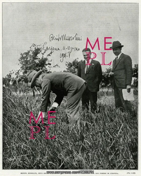 : MUSSOLINI / FIELDWORK : MUSSOLINI / FIELDWORK