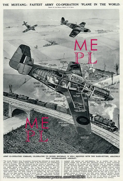 : The Mustang plane by G. H. Davis : The Mustang plane by G. H. Davis