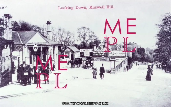  : MUSWELL HILL