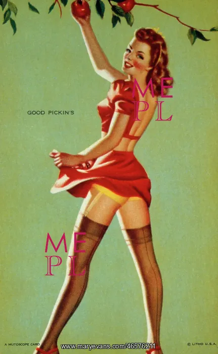  : Mutoscope Card, Good Pickins, 1940s