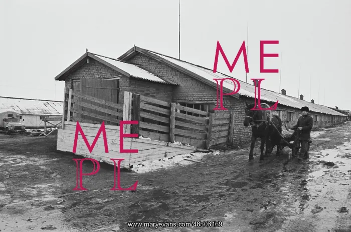 : Mutsanovs Family Farm : Mutsanovs Family Farm