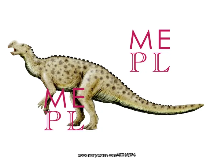 : Muttaburrasaurus dinosaur : Muttaburrasaurus dinosaur