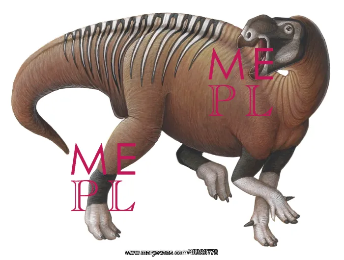 : Muttaburrasaurus dinosaur from the Early Cretaceous Period : Muttaburrasaurus dinosaur from the Early Cretaceous Period