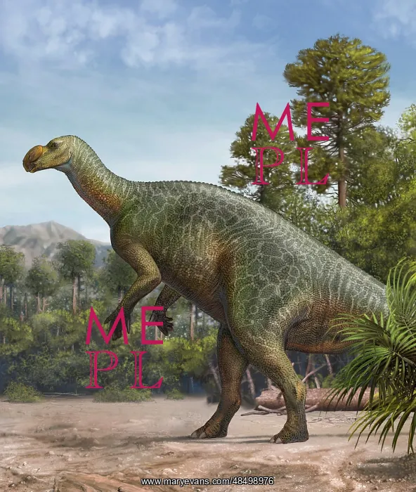 : Muttaburrasaurus langdoni in a prehistoric environment : Muttaburrasaurus langdoni in a prehistoric environment