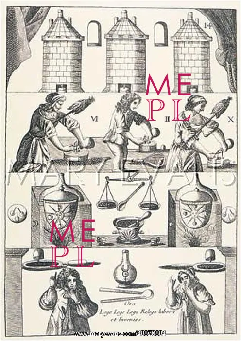 : MUTUS LIBER - 14 : MUTUS LIBER - 14