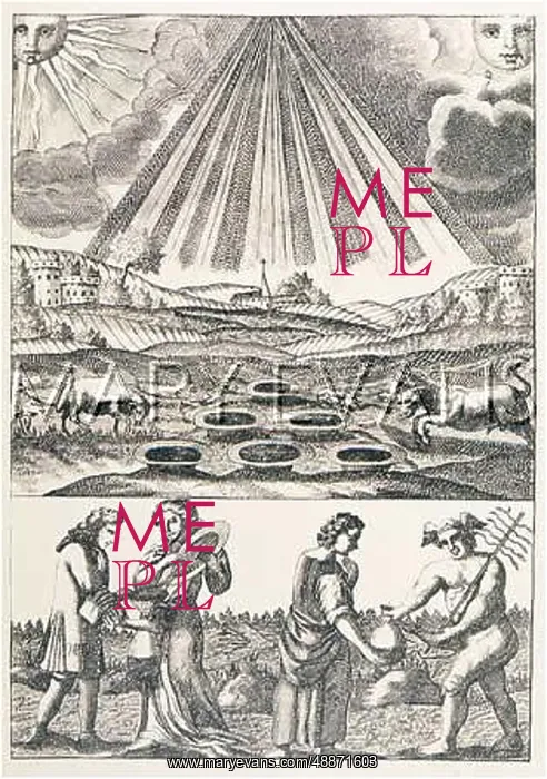  : MUTUS LIBER - 9