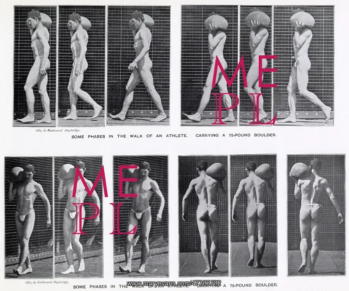 : Muybridge - 30 Kg Stone : Muybridge - 30 Kg Stone