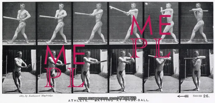  : MUYBRIDGE - BASEBALL
