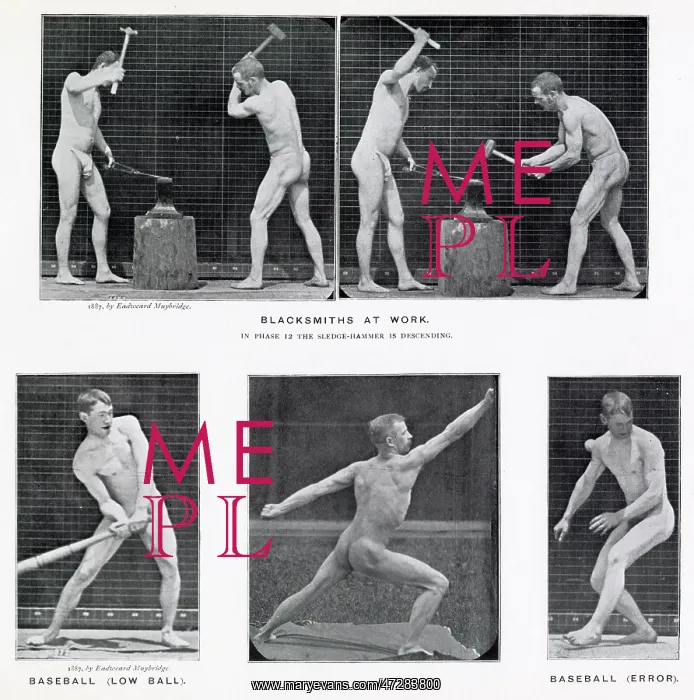 : Muybridge - Blacksmith : Muybridge - Blacksmith