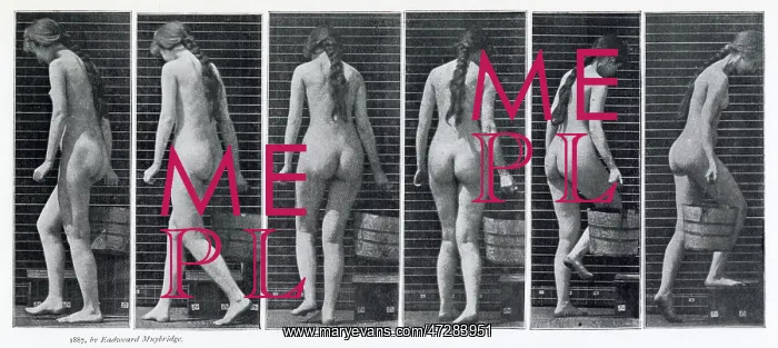  : Muybridge - Bucket