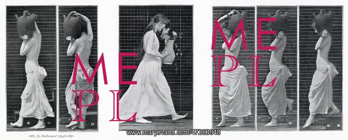  : Muybridge - Carry Vase
