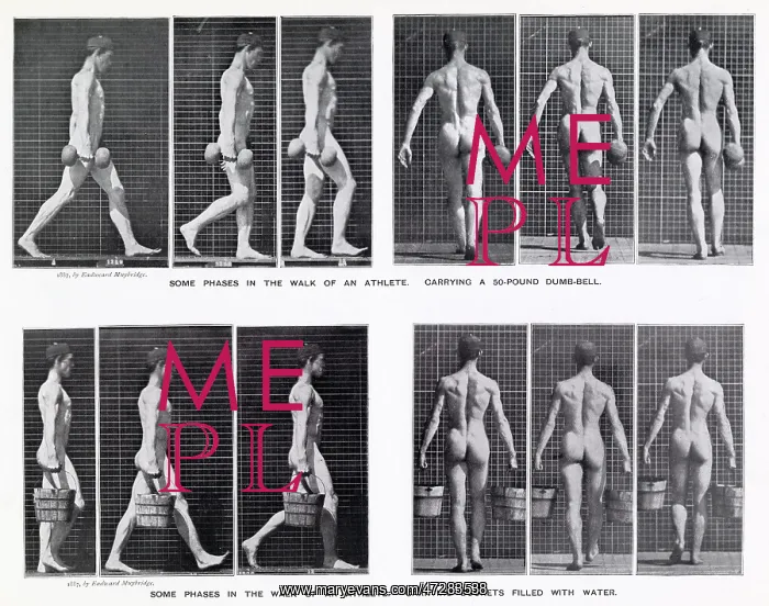 : Muybridge - Carrying : Muybridge - Carrying