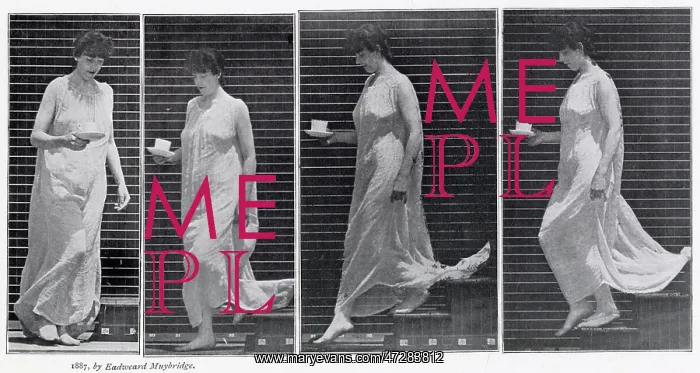 : Muybridge - Carrying Cup : Muybridge - Carrying Cup